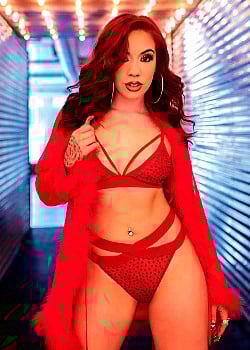 Salice Rose